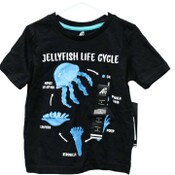 Wholesale - BOYS SIZE 4-7 JELLYFISH LIFE CYCLE S/S T-SHIRT C/P 24